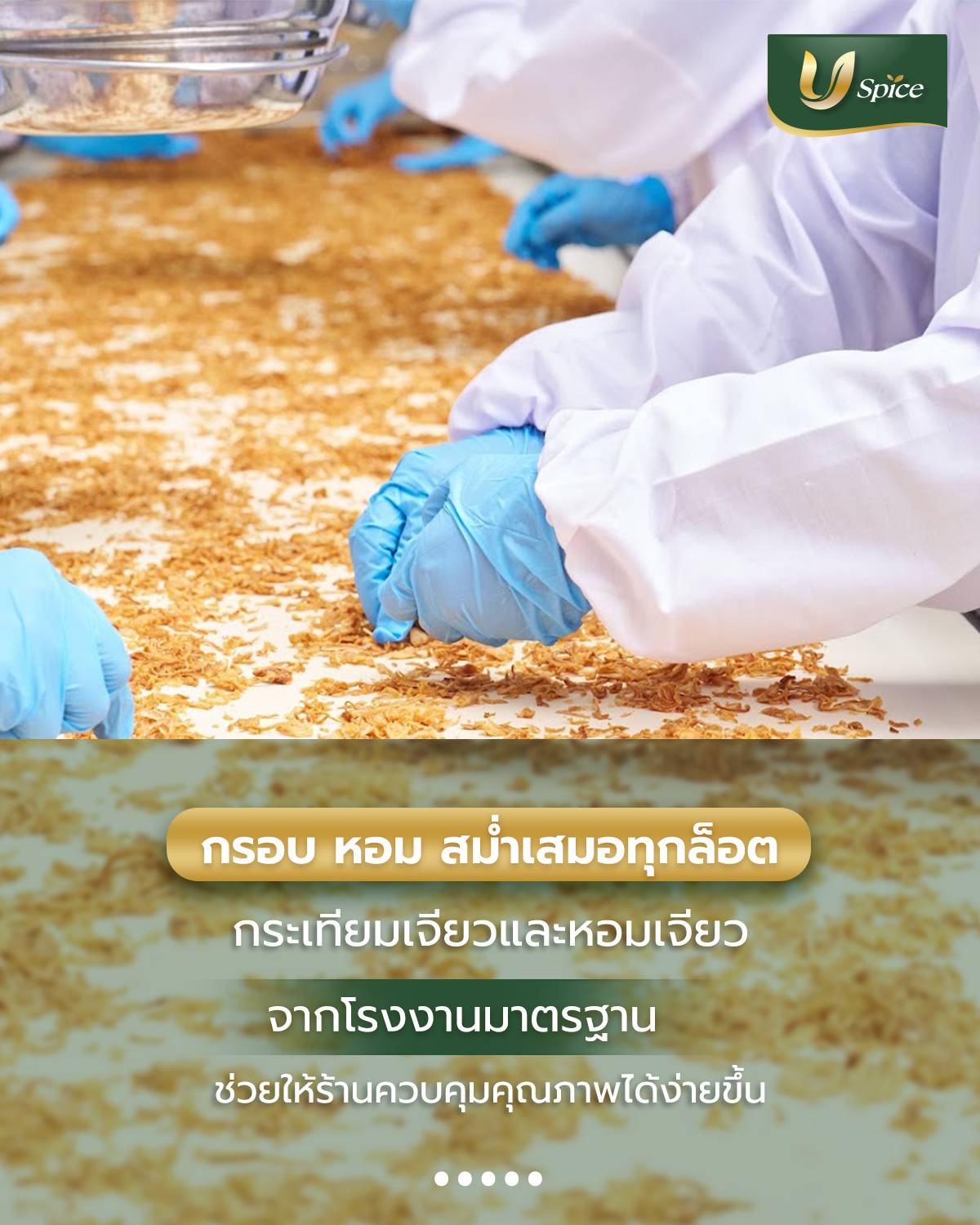 กระเทียมเจียว หอมเจียว ราคาส่ง ตัวช่วยลดต้นทุนที่ร้านอาหารมองข้าม